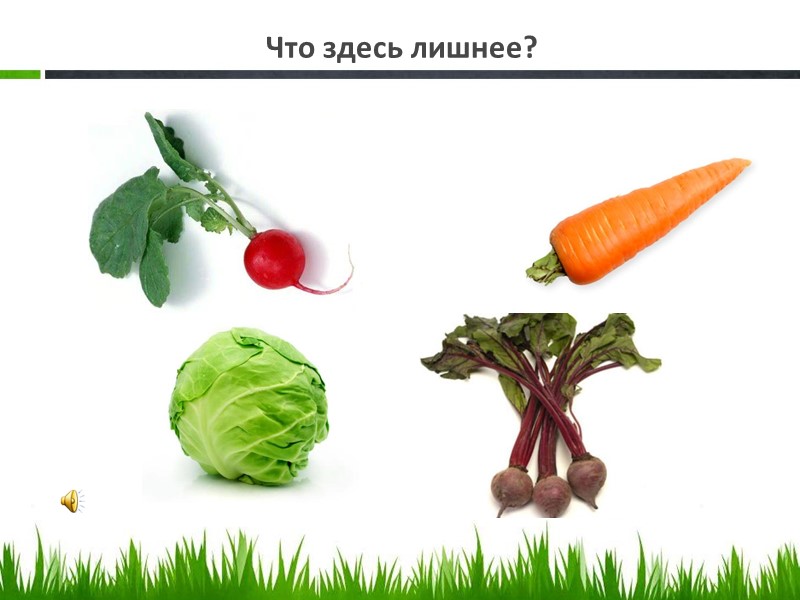 Что здесь лишнее?